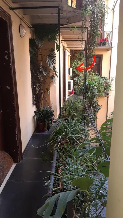 Charme De Rome Vatican Apartment 외부 사진
